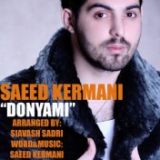 Saeed Kermani