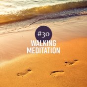 #30 Walking Meditation (Zen Music for Relaxation, Aliveness, Vital Energy & Reflection)