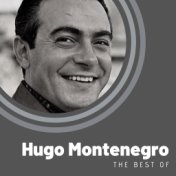 The Best of Hugo Montenegro