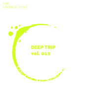 Deep Trip Vol.XII