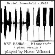 Wet Hands (Piano Version)