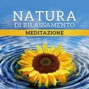 Natura di rilassamento (Meditazione – Calma, Dormire, Equilibrio dei chakra, Yoga zen)