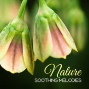 Nature Soothing Melodies – Easy Listening, Stress Relief, Peaceful Music, Spiritual Melodies