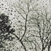 Gentle Rains for Calming Moods (Loopable)