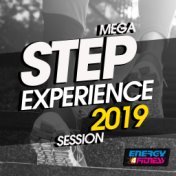 Mega Step Experience 2019 Session