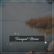 #14 Tranquil Noises for Rejuvenation