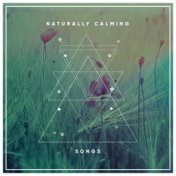 #2018 Naturally Calming Songs for Relaxation Therapy