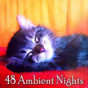 48 Ambient Nights