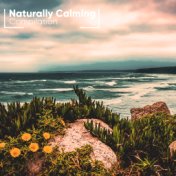 Naturally Calming Compilation