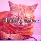 42 Peaceful Night time Sounds