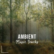 #15 Ambient Music Tracks for Relaxing Meditation