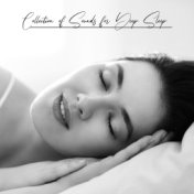 Collection of Sounds for Deep Sleep - Feel Total Comfort, Ambient Music, Pure Relaxation, Lucid Dreaming, Calm New Age