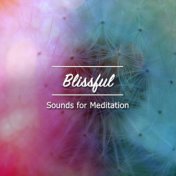 #22 Blissful Sounds for Meditation, Yoga & Spa