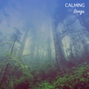 #16 Calming Songs for Deep Meditation & Relaxation