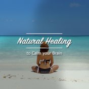 #12 Natural Healing Songs to Calm your Brain