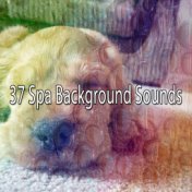 37 Spa Background Sounds