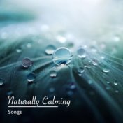 2018 Album Canciones Naturalmente Calmantes para Terapia de Relajación