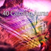 40 Calming Auras