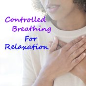 Controlled Breathing Exercise For Relaxation