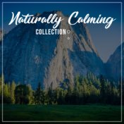 #20 Naturally Calming Collection for Guided Meditation & Relaxation