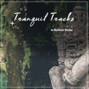 #16 Tranquil Tracks to Relieve Stress