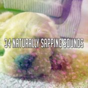 34 Naturally Sapping Sounds