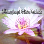 59 Relaxing Tranquil Meditation Music Tracks