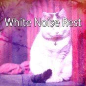 White Noise Rest