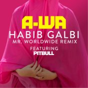 Habib Galbi (feat. Pitbull) (Mr. Worldwide Remix)