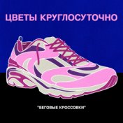 Беговые кроссовки