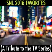 Snl 2016 Favorites (A Tribute to the TV Series)