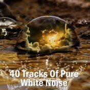 40 Tracks Of Pure White Noise