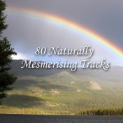 80 Naturally Mesmerising Tracks