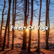 Forest Of Yoga