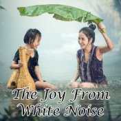 The Joy From White Noise