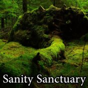 Sanity Sanctuary