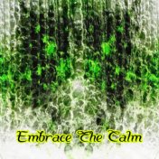 Embrace The Calm