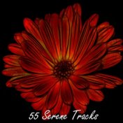 55 Serene Tracks