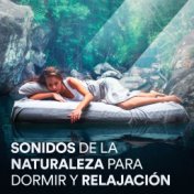 Sonidos de la Naturaleza para Dormir y Relajación