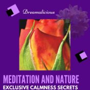 Meditation And Nature - Exclusive Calmness Secrets