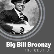 The Best of Big Bill Broonzy