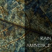 Rain Ambience