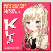 Have You Ever Been Mellow (Satomi Vision Mix)