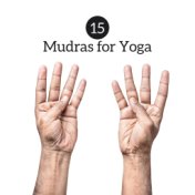 15 Mudras for Yoga