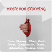 Music for Studying, Focus, Memory, Work, Brain Power, Concentration, Exams, Relaxation, Reading, Calm