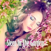 Sleep In The Gardens