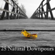 25 Natural Downpours