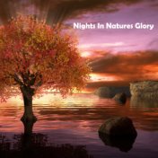 Night In Natures Glory