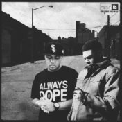 Perfect Timing (Remix) [feat. Skyzoo]