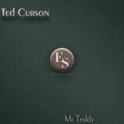 Mr Teddy